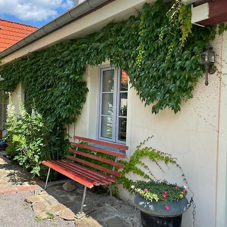 Fewo Im Kneipenviertel Altkoetzschenbroda Radebeul Exterior foto