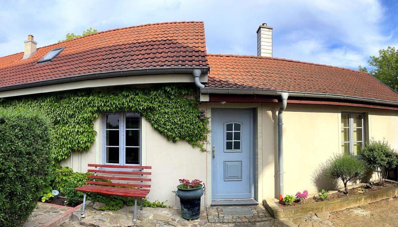 Fewo Im Kneipenviertel Altkoetzschenbroda Radebeul Exterior foto